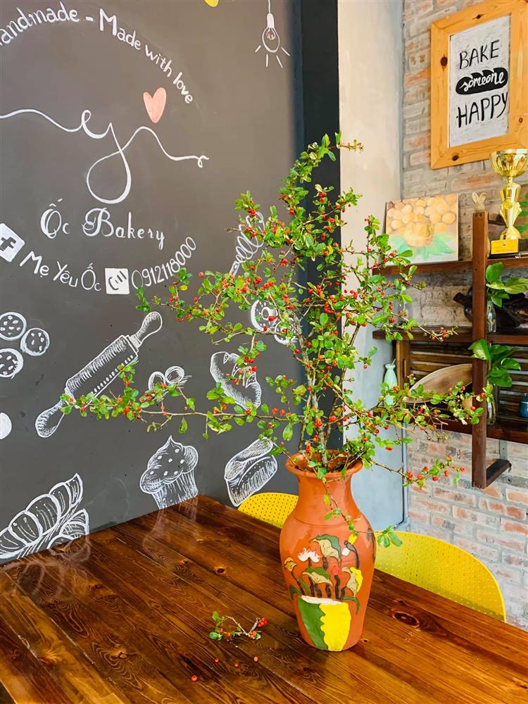 Rộ cơn sốt cắm cherry rừng giá 150.000 đồng được 5 cành lá và quả sai trĩu, ai cũng phải thốt lên: rẻ mà đẹp-18