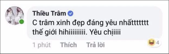 Thiều Bảo Trâm bị phát hiện dùng nick ảo tự khen mình nhưng lại sơ hở điều này khiến dân mạng ngao ngán-2