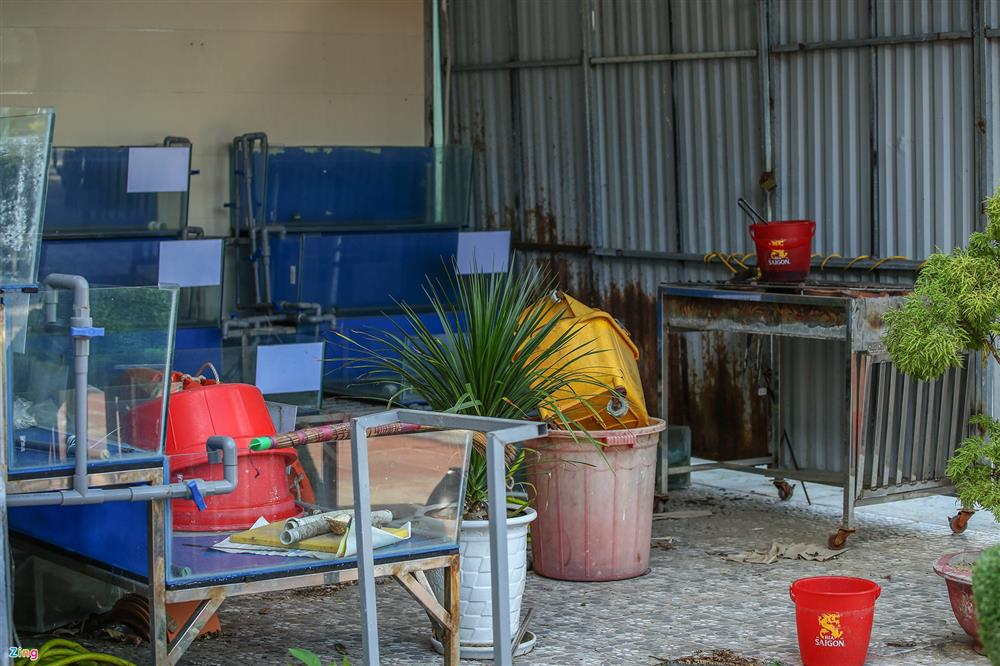 Bàn ghế chất đống, bụi phủ đầy quán xá ở Đà Nẵng-11