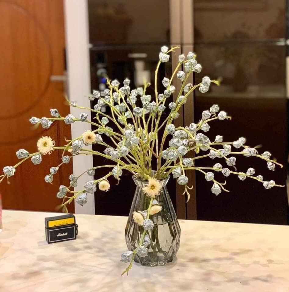 Chị em thích thú săn tìm cành hoa bạch đàn cắm chơi, giá hợp ví chỉ từ 110k/bó còn chống muỗi trong nhà hiệu quả-10