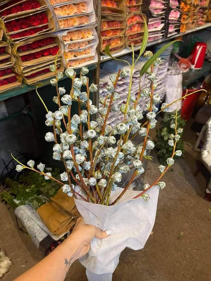 Chị em thích thú săn tìm cành hoa bạch đàn cắm chơi, giá hợp ví chỉ từ 110k/bó còn chống muỗi trong nhà hiệu quả-2