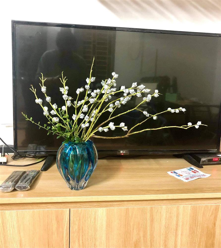 Chị em thích thú săn tìm cành hoa bạch đàn cắm chơi, giá hợp ví chỉ từ 110k/bó còn chống muỗi trong nhà hiệu quả-9