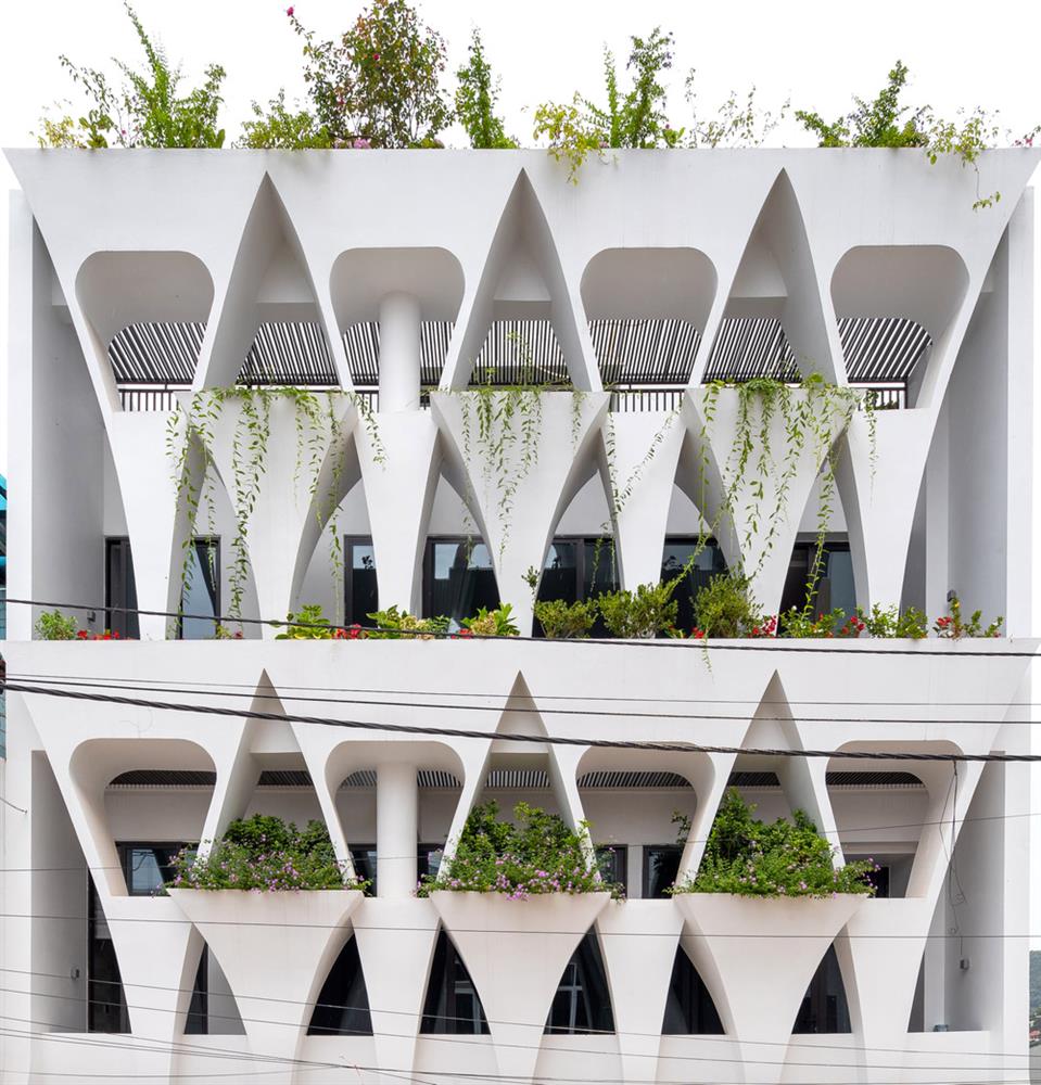 Gia đình yêu thiên nhiên xây nhà 6 tỷ, gộp hai lô đất, thiết kế mặt tiền trồng cây chất khỏi bàn-3