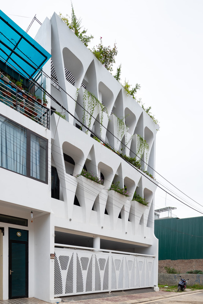 Gia đình yêu thiên nhiên xây nhà 6 tỷ, gộp hai lô đất, thiết kế mặt tiền trồng cây chất khỏi bàn-4