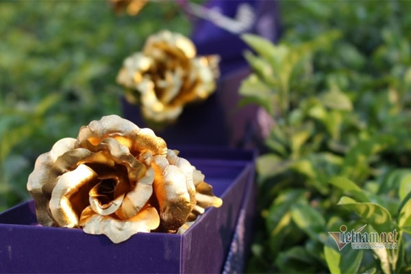 Đưa vàng giả, đòi vàng thật, mẹ chồng tham lam bị con dâu làm bẽ mặt-1