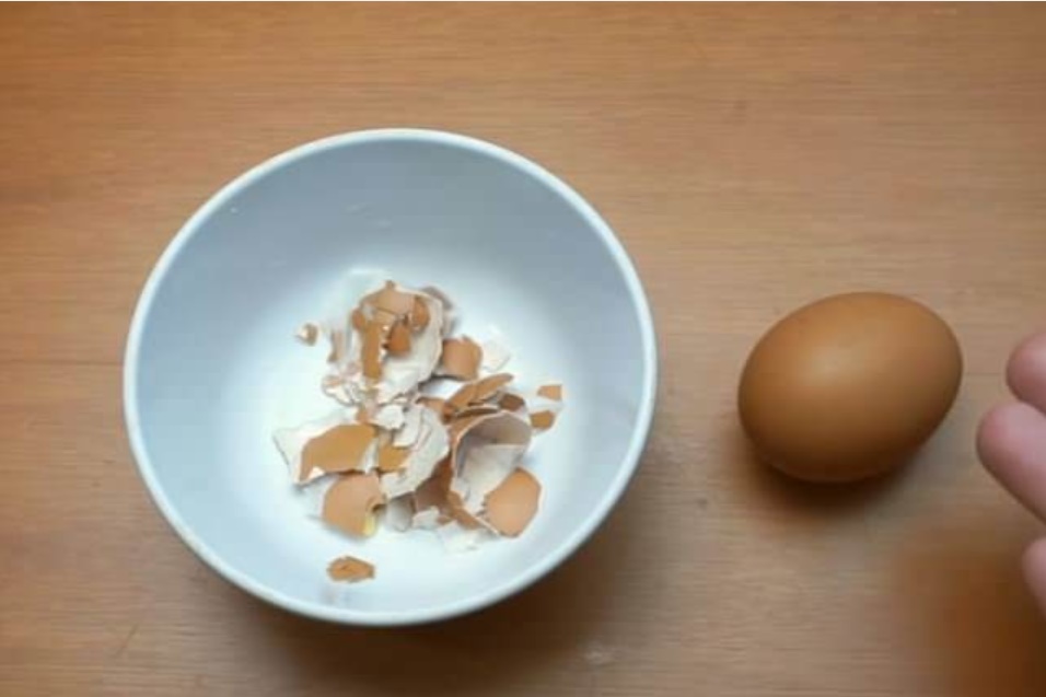 Có quá nhiều thạch sùng trong nhà cũng đừng vội giết, mách bạn mẹo nhỏ khiến chúng tự nhiên biến mất, không bao giờ dám xuất hiện nữa-2