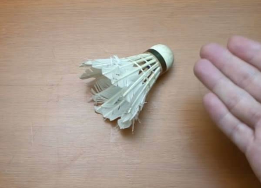 Có quá nhiều thạch sùng trong nhà cũng đừng vội giết, mách bạn mẹo nhỏ khiến chúng tự nhiên biến mất, không bao giờ dám xuất hiện nữa-5