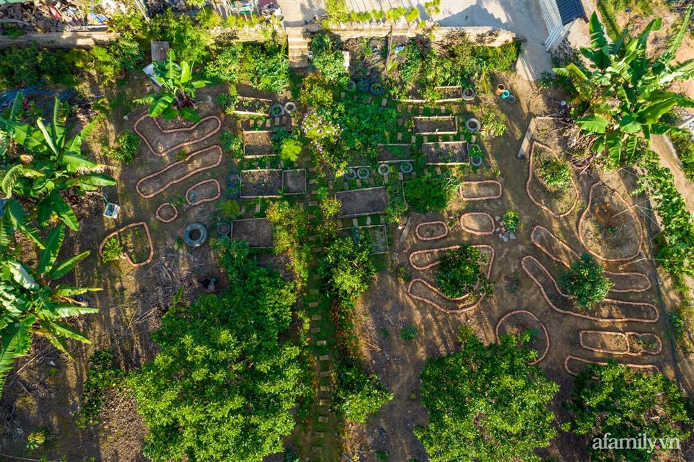 Cô gái dừng học đại học, về quê trồng cây trong khu vườn rộng 7000m² đẹp mê mẩn ở trung tâm thành phố Đà Lạt-1