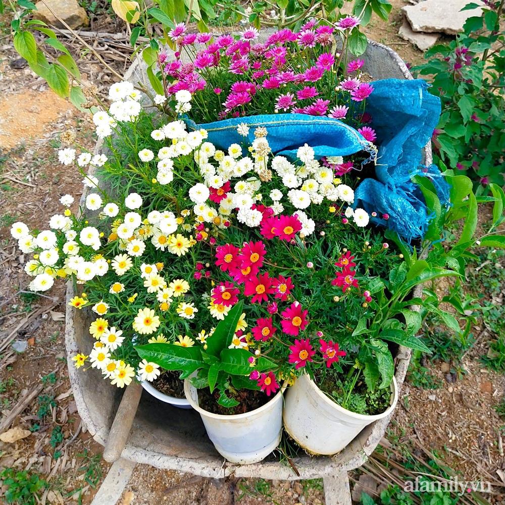 Cô gái dừng học đại học, về quê trồng cây trong khu vườn rộng 7000m² đẹp mê mẩn ở trung tâm thành phố Đà Lạt-10