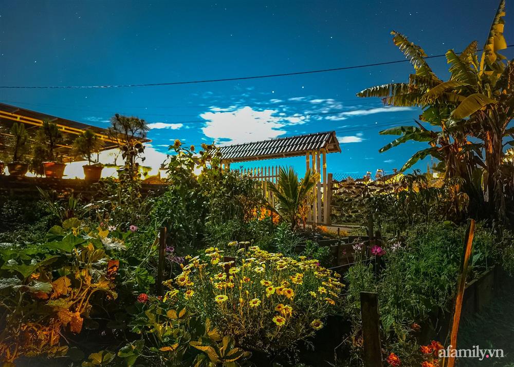 Cô gái dừng học đại học, về quê trồng cây trong khu vườn rộng 7000m² đẹp mê mẩn ở trung tâm thành phố Đà Lạt-4