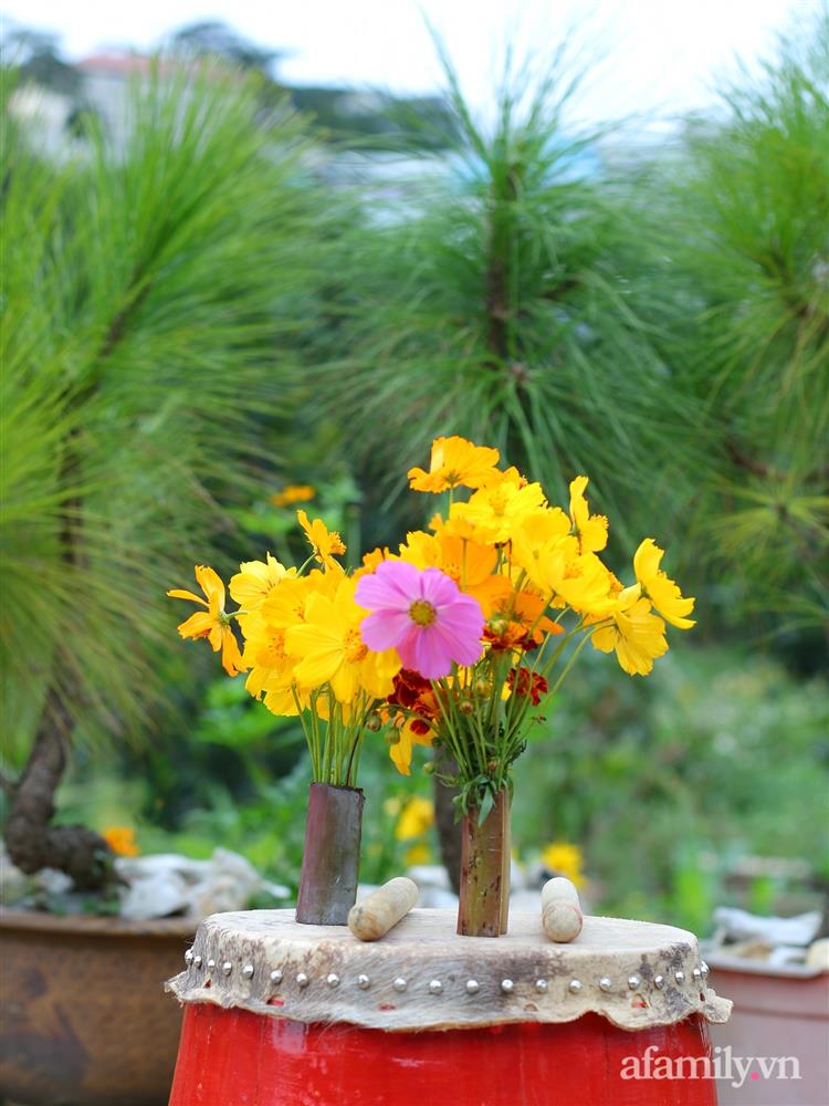 Cô gái dừng học đại học, về quê trồng cây trong khu vườn rộng 7000m² đẹp mê mẩn ở trung tâm thành phố Đà Lạt-16