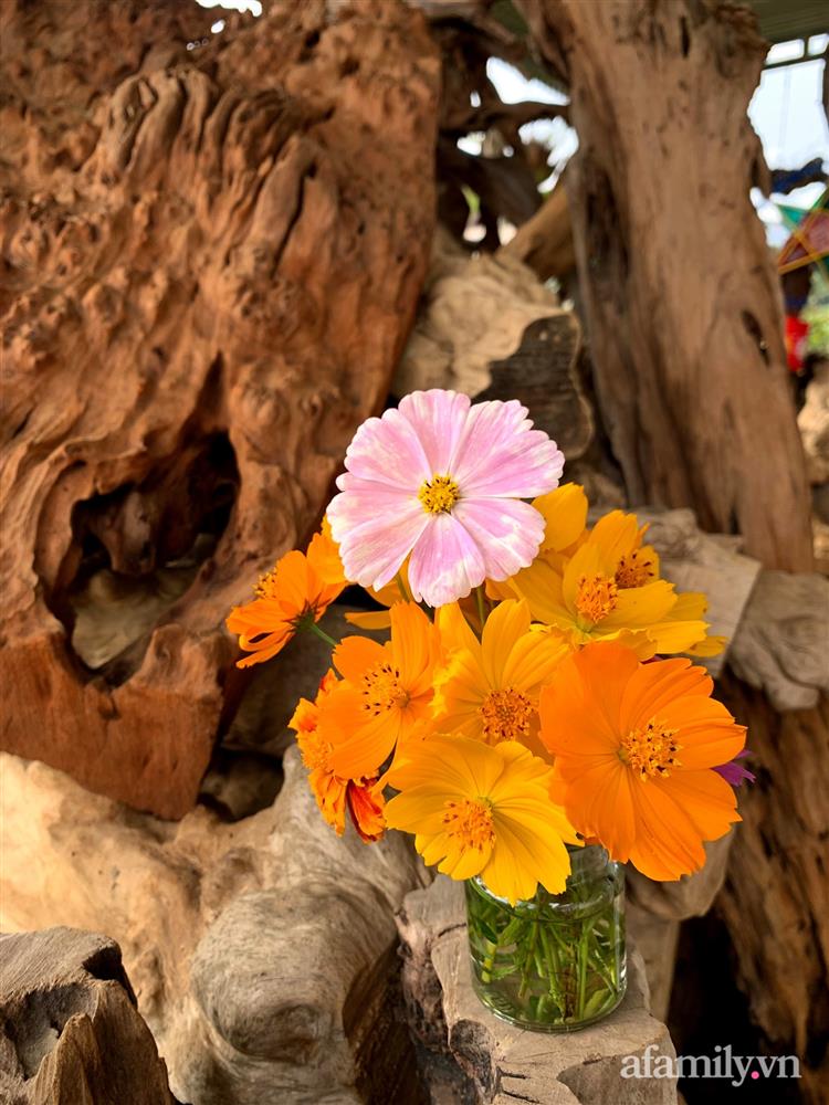 Cô gái dừng học đại học, về quê trồng cây trong khu vườn rộng 7000m² đẹp mê mẩn ở trung tâm thành phố Đà Lạt-17