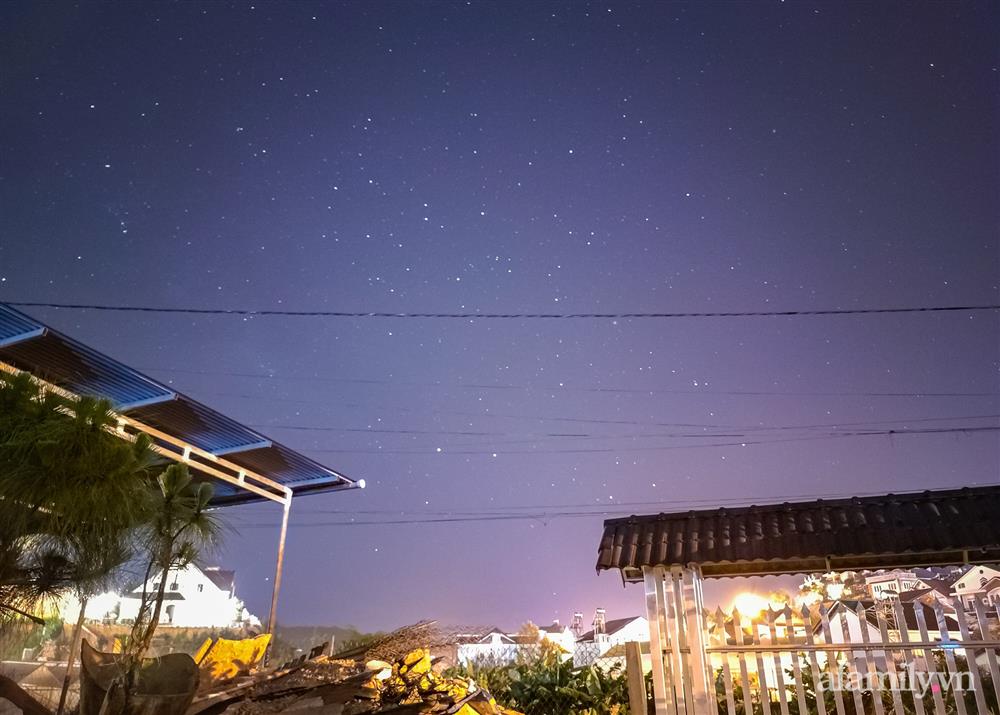 Cô gái dừng học đại học, về quê trồng cây trong khu vườn rộng 7000m² đẹp mê mẩn ở trung tâm thành phố Đà Lạt-21