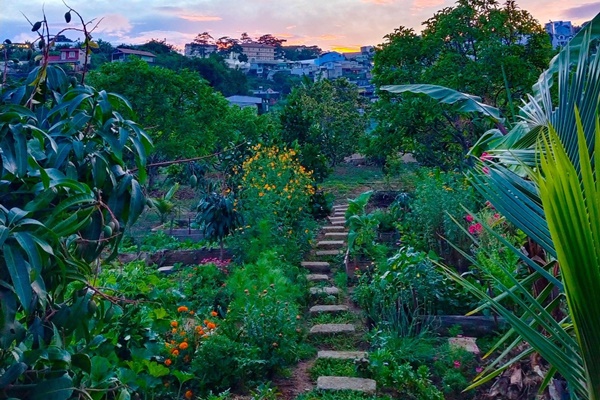 Ngôi nhà với phong cách tối giản thư thái và khu vườn đẹp chẳng khác gì chốn thần tiên của mẹ Việt-37