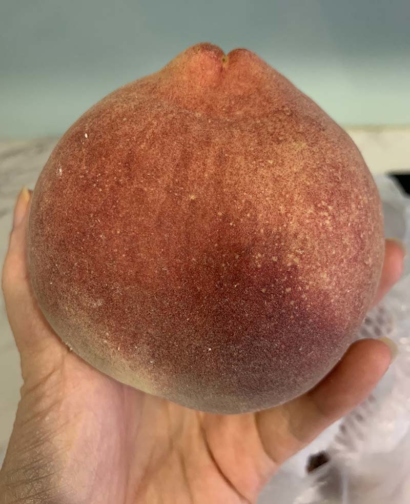 Loại quả 100% hàng Trung Quốc gây sốt, giá cao chót vót vẫn đắt hàng-2