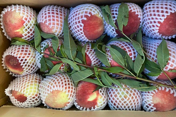 Loại quả có khắp vườn người Việt, ra chợ xin vài quả được cho không, ở đây rao bán 670.000 đồng/kg-5