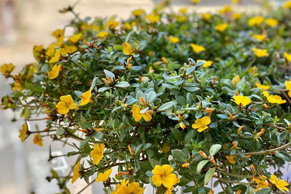 Gặp lại tình cũ, tôi hối hận khi thấy cuộc sống của anh hiện giờ-1