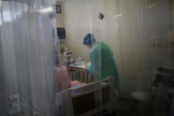 Nhật Bản phát hiện virus mới có thể lây nhiễm sang người-1