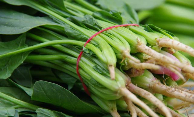 Tống Mỹ Linh mắc bệnh ung thư ở tuổi 40, nhưng sống thọ đến 106 tuổi: Bí quyết của bà chính là 2 món rau bán rất rẻ ở chợ Việt-4