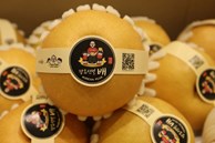 Tràn lan lê 'nhái' Hàn Quốc trên thị trường