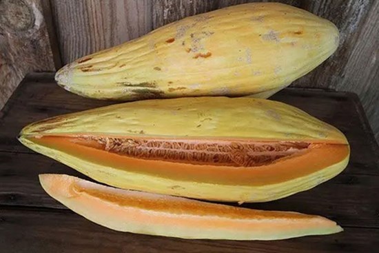 Ngạc nhiên với loại quả có vị dưa lưới, thơm mùi chuối