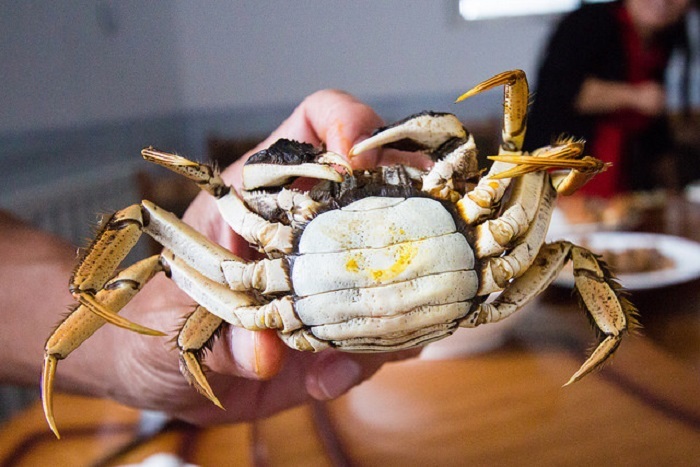 Loại cua quý tộc từ Trung Quốc đang đổ về chợ Việt-8