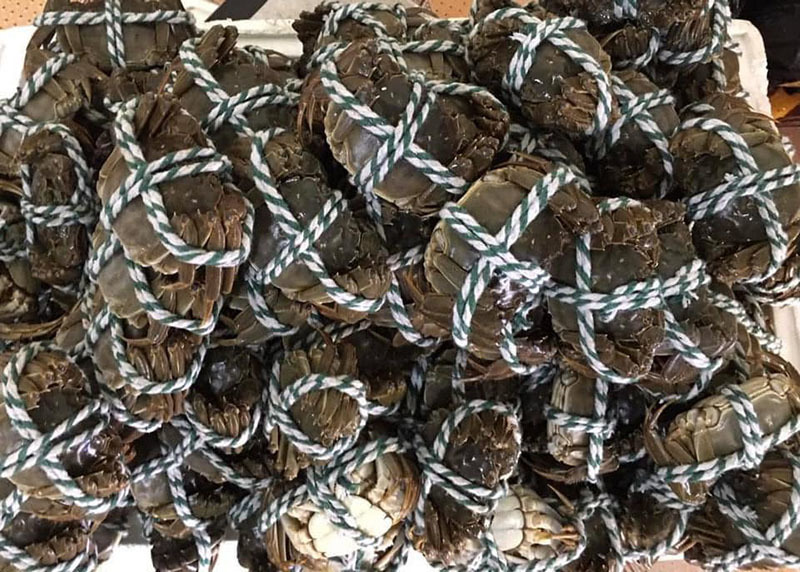 Loại cua quý tộc từ Trung Quốc đang đổ về chợ Việt-9