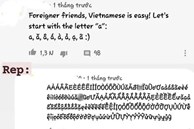 Người nước ngoài chê tiếng Việt dễ lắm, chỉ cần thêm dấu cho chữ 'a' là xong, ai ngờ bị phản dame mạnh thế này