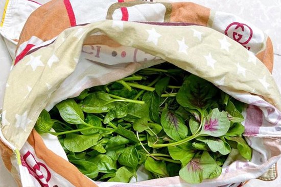 Cách cực mới bảo quản rau tươi để 1 tháng vẫn tươi rói, giữ nguyên dưỡng chất