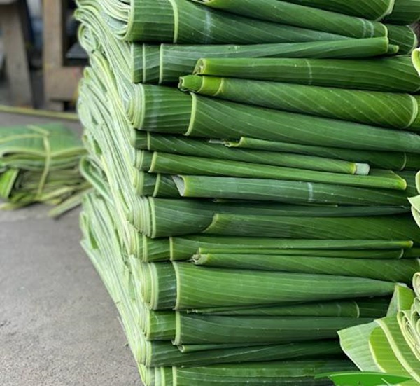 Loại lá dùng để gói xôi, bánh ở Việt Nam, được bán 500.000 đồng/lá trên Amazon, eBay-2