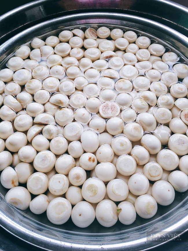 Bí quyết làm cà pháo muối chua ngọt, trắng nõn, giòn tan-4