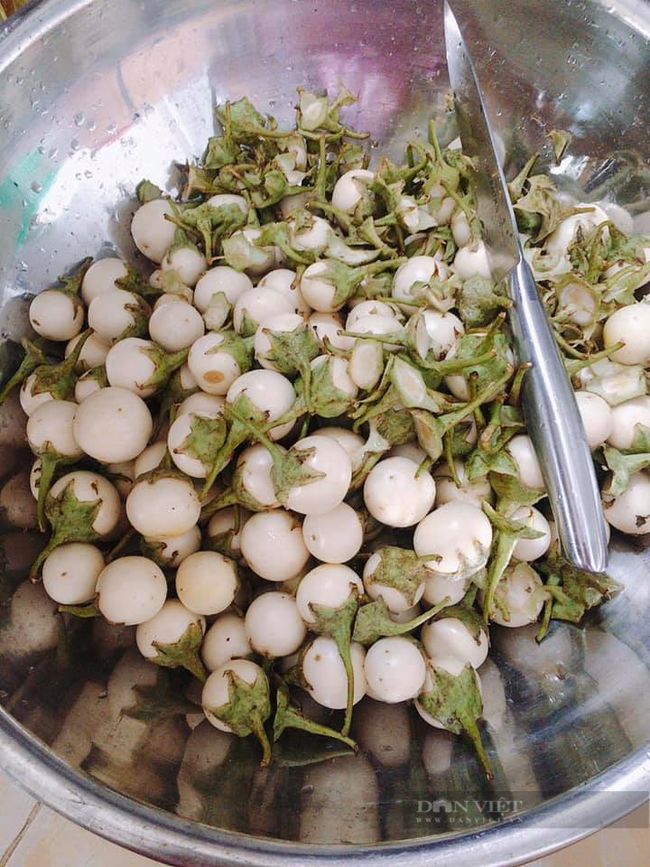 Bí quyết làm cà pháo muối chua ngọt, trắng nõn, giòn tan-2