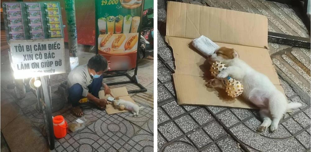 Chú cún nổi tiếng của cụ ông bán vé số câm điếc bị cắn chết: Xót thương số phận bơ vơ người ở lại-1