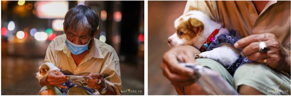 Chú cún nổi tiếng của cụ ông bán vé số câm điếc bị cắn chết: Xót thương số phận bơ vơ người ở lại-3