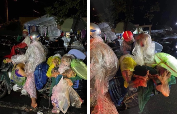 Chuyến xe hồi hương đặc biệt nhất mùa Covid-19: 15 chú chó cùng đôi vợ chồng nghèo bon bon về quê, hành động quan tâm nhau trên suốt hành trình gây xúc động mạnh-2