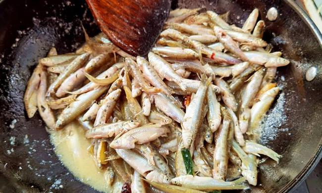Loài cá 3 năm mới dài được 9 cm, thường bị nhầm là cá tạp nhỏ thật ra lại cực kỳ bổ dưỡng, kho theo cách này thì ăn hết cả nồi cơm-4