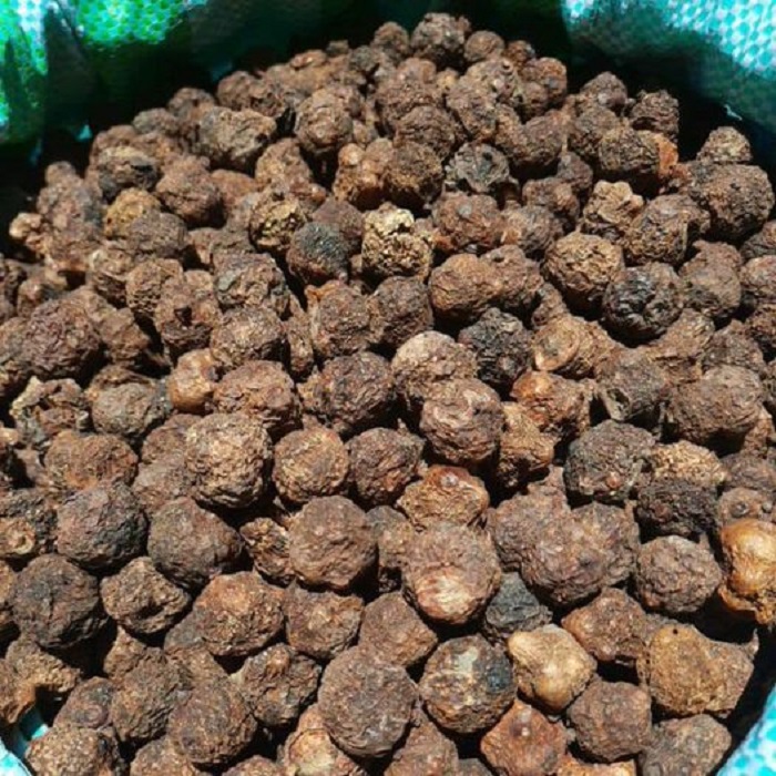 Me rừng Tây Bắc vừa chua vừa chát vẫn khiến hội chị em Hà Thành chốt đơn mua ầm ầm-6