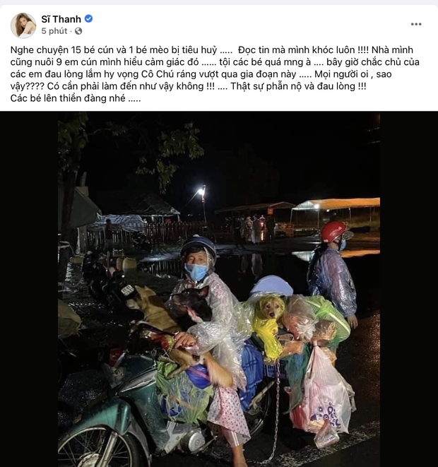 Sao Việt lên tiếng trước thông tin 15 chú chó bị thiêu huỷ: Văn Mai Hương - Sĩ Thanh quá đau lòng, Hồng Ánh bật khóc không dám tin-4