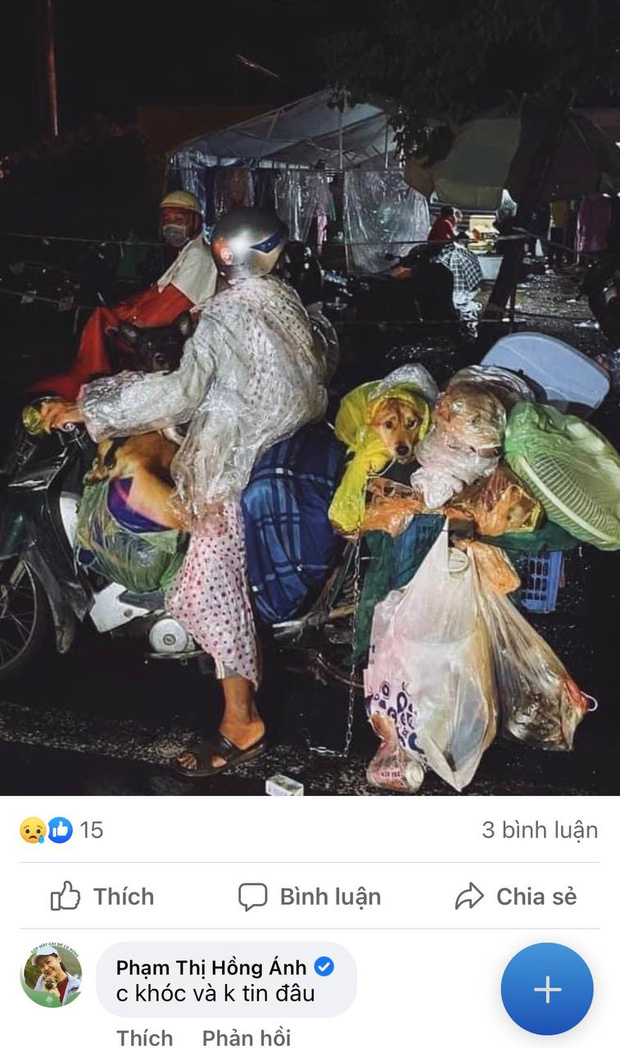Sao Việt lên tiếng trước thông tin 15 chú chó bị thiêu huỷ: Văn Mai Hương - Sĩ Thanh quá đau lòng, Hồng Ánh bật khóc không dám tin-6