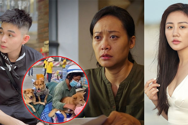 Chính quyền Cà Mau thừa nhận thiếu sót trong việc tiêu huỷ 15 con chó được chủ chở về quê-2