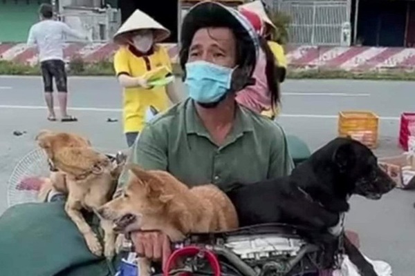 NÓNG: Địa phương tổ chức họp báo, cho biết người dân trong khu cách ly đồng tình với việc tiêu hủy 15 chú chó-3