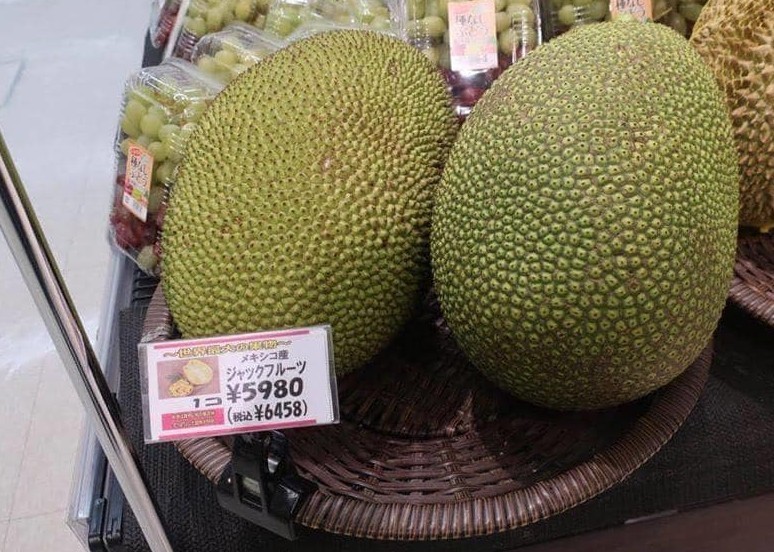 Loại hạt người Việt ăn xong vứt bỏ, được coi là bổ dưỡng, bán đắt giá ở Nhật-2