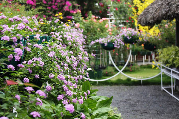 Mất vợ vào tay bạn thân sau 4 tháng mở chung cửa hàng-1