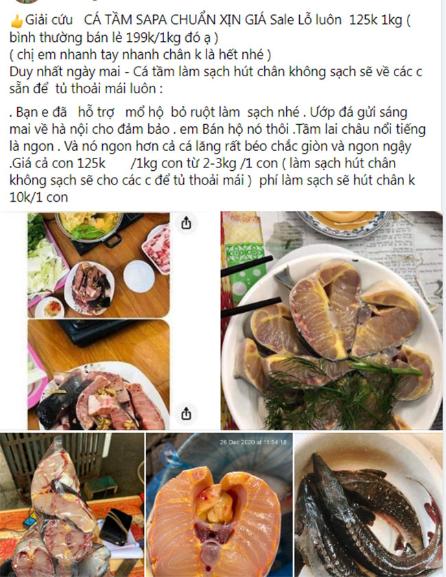 Loại cá đặc sản ở Việt Nam bán trên chợ mạng giá siêu rẻ, người dân tranh thủ ăn sang-3