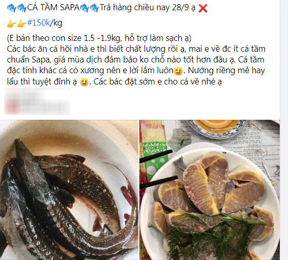 Loại cá đặc sản ở Việt Nam bán trên chợ mạng giá siêu rẻ, người dân tranh thủ ăn sang-4