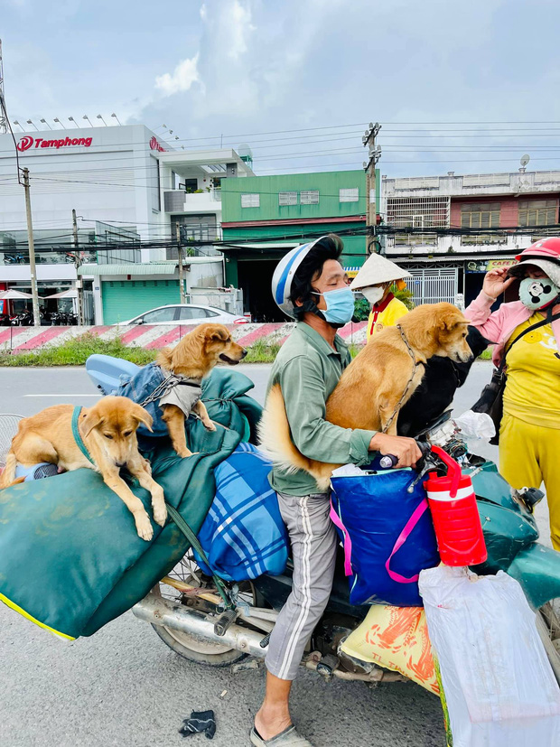 Vụ đàn chó 15 con bị tiêu huỷ: 1 chú cún may mắn sống sót, người chủ mới khẳng định sẽ tặng lại vì nó là 1 phần kỷ niệm của cô chú-2