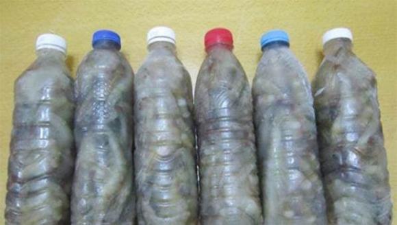 Đừng cất tôm đông lạnh trực tiếp. Người đánh cá già sẽ dạy bạn 2 mẹo để tôm tươi ngon như mới sau một năm bảo quản-4