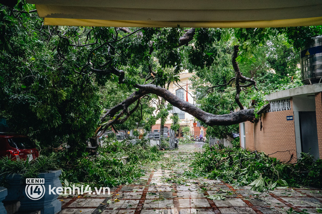 Hà Nội: Bão số 7 gây mưa lớn cả ngày, nhiều cây xanh bật gốc, đè bẹp xế hộp Camry-2