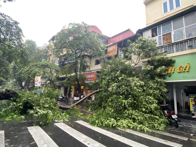 Hà Nội: Bão số 7 gây mưa lớn cả ngày, nhiều cây xanh bật gốc, đè bẹp xế hộp Camry-14
