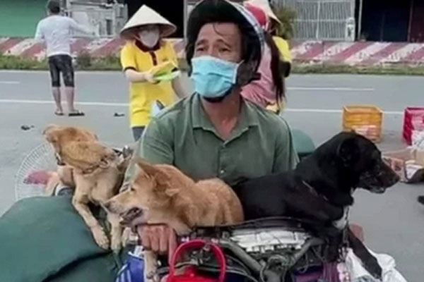 Vụ 15 chú chó bị tiêu hủy ở Cà Mau: Trưởng trạm y tế xin nghỉ việc vì không chịu nổi áp lực dư luận-1